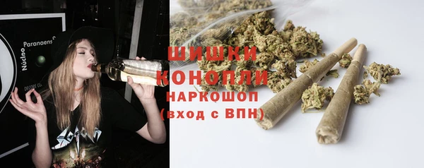 крисы Козловка