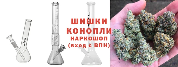 крисы Козловка