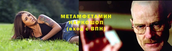 крисы Козловка