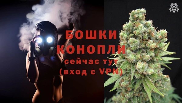 бошки Козельск