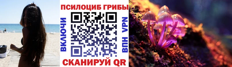 Купить  Пестово  Псилоцибиновые грибы Magic Shrooms 